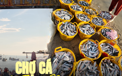 Ghé thăm chợ cá Tam Tiến gần Hội An - nơi "cư ngụ" của những chiếc thuyền đầy ắp cá tôm tươi ngon giá rẻ