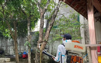 Bệnh ho gà ‘tái xuất’ ở Quảng Ngãi sau hơn 3 năm vắng bóng