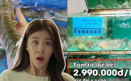 1kg tôm tít giá 2,5 triệu đồng tại một nhà hàng ở Đà Nẵng gây tranh cãi: Người chê đắt, người bảo hợp lý, nhà hàng giải thích ra sao?