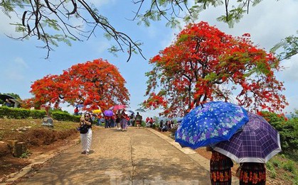 Điểm du lịch được tìm kiếm nhiều nhất Việt Nam