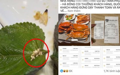 Một loạt nhà hàng buffet liên tục dính "phốt": Người tố nhân viên "đuổi" khách, kẻ ăn xong nhập viện cấp cứu