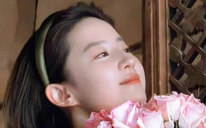 Bí mật mối quan hệ giữa Lưu Diệc Phi và cha nuôi tỷ phú