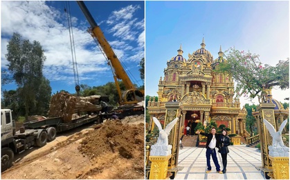 “Đại gia đồng nát” tậu một loại cây nặng 31 tấn, hình thù kỳ lạ đặt trước nhà: Giá tiền và công dụng gây sốc