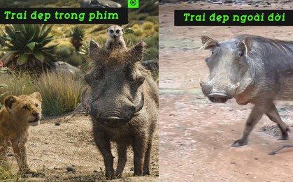 Phát hiện địa điểm ở Phú Quốc toàn “trai đẹp vô cùng tận”, sở hữu hàng triệu lượt xem chỉ nhờ một cái liếc mắt