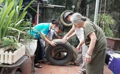 Hà Nội phát sinh thêm 15 ổ dịch sốt xuất huyết
