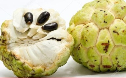 Bé trai bỏng giác mạc do gội đầu bằng nước hạt na