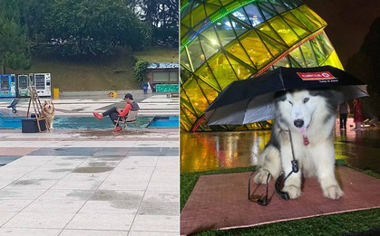 Cộng đồng Đà Lạt phẫn nộ vì một thanh niên lại dắt chó Alaska ra Quảng trường cho khách chụp ảnh dịp lễ 2/9, thái độ thách thức dư luận