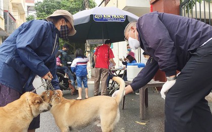 10 người bị chó dại cắn