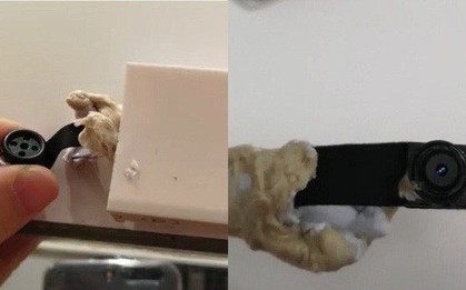 Nhận diện "muôn hình vạn trạng" cách ngụy trang camera quay lén, nhiều vị trí không ngờ tới!