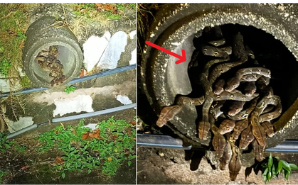 Nhận được cuộc gọi của người dân, nhân viên sở cứu hỏa đến nơi thì chứng kiến cảnh tượng đáng sợ