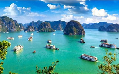 Đi thuyền trên vịnh Hạ Long, Lan Hạ là trải nghiệm thú vị nhất thế giới
