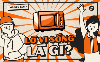 Từ điển Gen Z: "Lò vi sóng" trong tình yêu có nghĩa là gì?