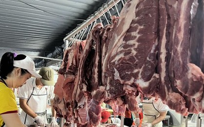 Đảo Phú Quý thiếu thịt