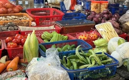 130.000 đồng 1 quả bí xanh ở Hà Nội, bà nội trợ choáng váng