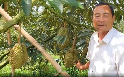 Ông nông dân trồng loại cây "ngả theo chiều gió", lãi 13 tỷ đồng/năm rất nhẹ nhàng