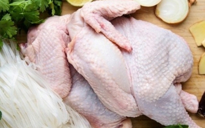 Những phần 'cực độc' của gà, thèm mấy cũng không nên ăn
