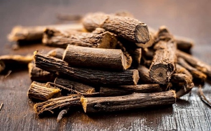 Loại cây Việt có vị ngọt như đường là dược liệu quý không phải ai cũng biết