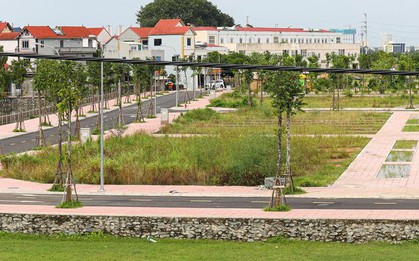 Vì sao huyện Đan Phượng, Hà Nội bất ngờ dừng đấu giá 26 lô đất?