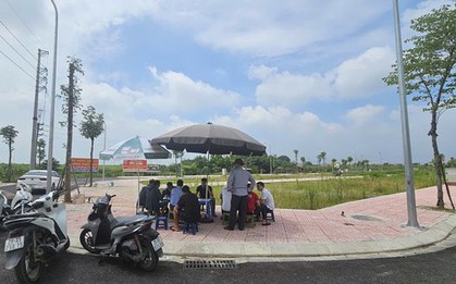 Có hiện tượng "cò" đấu giá đất thao túng thị trường