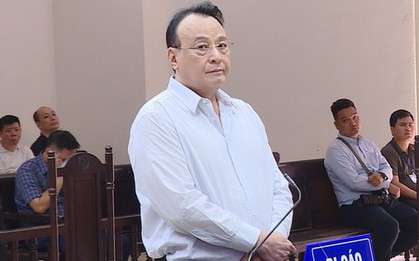 Xét xử vụ Tân Hoàng Minh: Ông Đỗ Anh Dũng được giảm thêm 1 năm tù