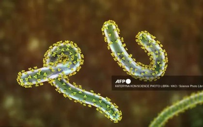 Số người tử vong do virus Marburg ở Rwanda tăng lên 8