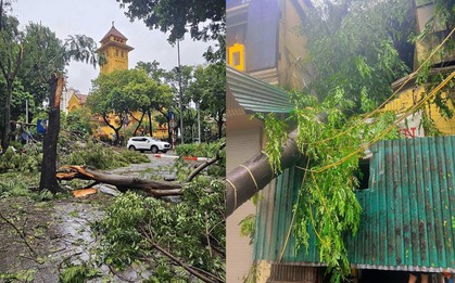 Thêm 3 địa điểm nổi tiếng của Hà Nội có cây đổ do bão khiến nhiều người ngỡ ngàng