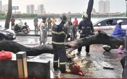Xót xa người mẹ bị cây phượng bật gốc đè thiệt mạng, bỏ lại 3 con bơ vơ