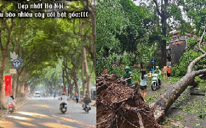 Con đường của những "nàng thơ" ở Hà Nội tan hoang sau bão Yagi