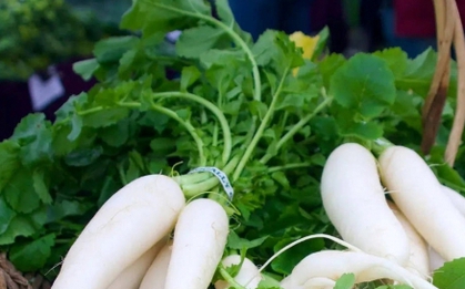 Củ cải có bộ phận "bổ dưỡng tựa nhân sâm", người Việt thường bỏ đi mà không hay