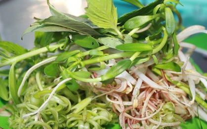 Loại rau chứa đầy vi khuẩn được đánh giá bẩn dù không cần "tưới" thuốc trừ sâu