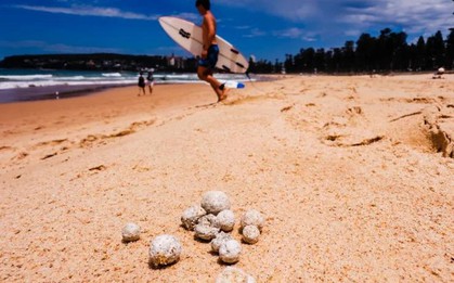 Đóng cửa thiên đường du lịch ở Úc vì 'vật thể lạ'