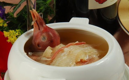 Không phải thịt bò, thịt lợn, đây mới là 2 loại thịt thơm ngon đặc biệt, ngừa nhiều bệnh mà Tết này nên mua