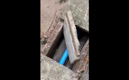 Mở nắp cống trong chùa, "tái mặt" khi chứng kiến cảnh đáng sợ