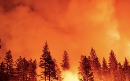 Sức gió tăng mạnh, California đối mặt với đợt cháy rừng mới