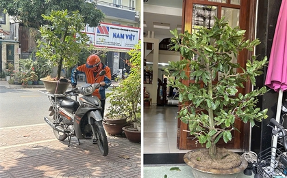 Bức ảnh khiến một người "rơi lệ", vạn người xôn xao