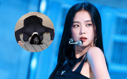 Một ngôi sao hạng A quỳ gối, xin Jisoo (BLACKPINK) tha thứ