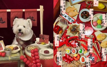 Quá sốc trước xu hướng tiệc tất niên cho thú cưng: Thực đơn gồm bào ngư vi cá, giá tiền lên tới cả triệu