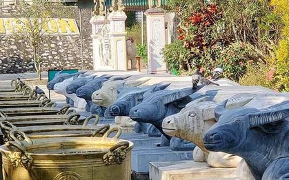 Độc đáo lễ hội ngôi đền 9 con trâu quỳ