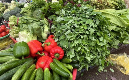 Giá rau xanh ở Hà Nội ‘nhảy múa’, đắt gấp đôi sau bão Bualoi
