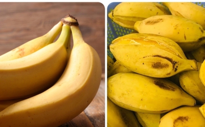 Mỗi ngày ăn một trái chuối có tốt?
