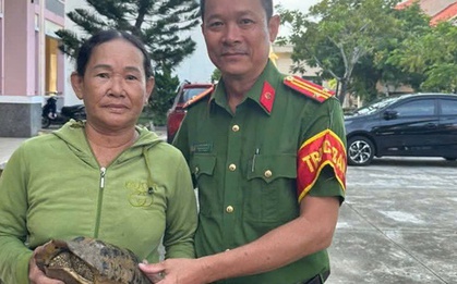 Đi hái rau, người phụ nữ bắt gặp con rùa quý nặng 2,2 kg ở Đà Nẵng