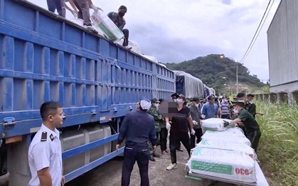 7 giờ mật phục, chặn bắt thành công 2 xe đầu kéo chở nửa tấn ma túy từ Tam Giác Vàng về Việt Nam