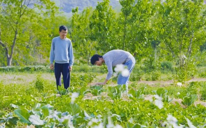 Trưởng phòng nghỉ hưu sớm, mang 7 tỷ đồng về quê xây nhà sau 3 tháng đã khẳng định: Tránh xa bon chen, tôi trẻ ra 10 tuổi, còn thu "lãi đậm"