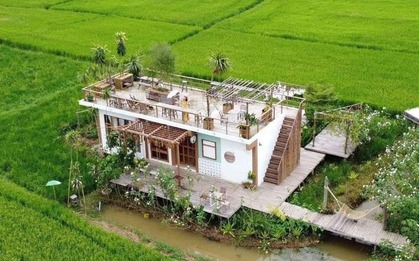2 người bạn thân U45 bán nhà ở phố về quê xây homestay dưỡng già, nửa năm sau ngồi khóc: Đây là địa ngục