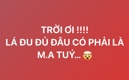 Admin fanpage “Phòng, chống ma tuý” var thẳng mặt dàn sao Việt