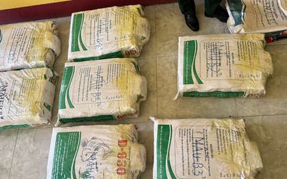 Giám định 500 kg tinh thể nghi ma túy phát hiện ở Quảng Trị