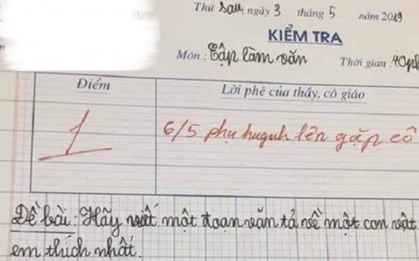Bài văn tả chó của học sinh lớp 3 bị cô giáo cho 1 điểm và mời phụ huynh lên gặp, dân mạng đọc thử rồi tranh cãi ầm ĩ