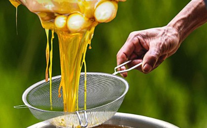 Đặc sản đắt nhất thế giới 40 triệu/kg, Việt Nam có loại thiên nhiên nguyên bản, thơm ngọt chẳng kém cạnh