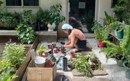 Sau tuổi 50, cha mẹ nên học cách "lùi lại một bước" đó mới là khôn ngoan
