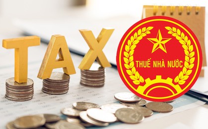 Hộ kinh doanh chú ý: Đây là mức thuế áp dụng từ ngày 1/1/2026